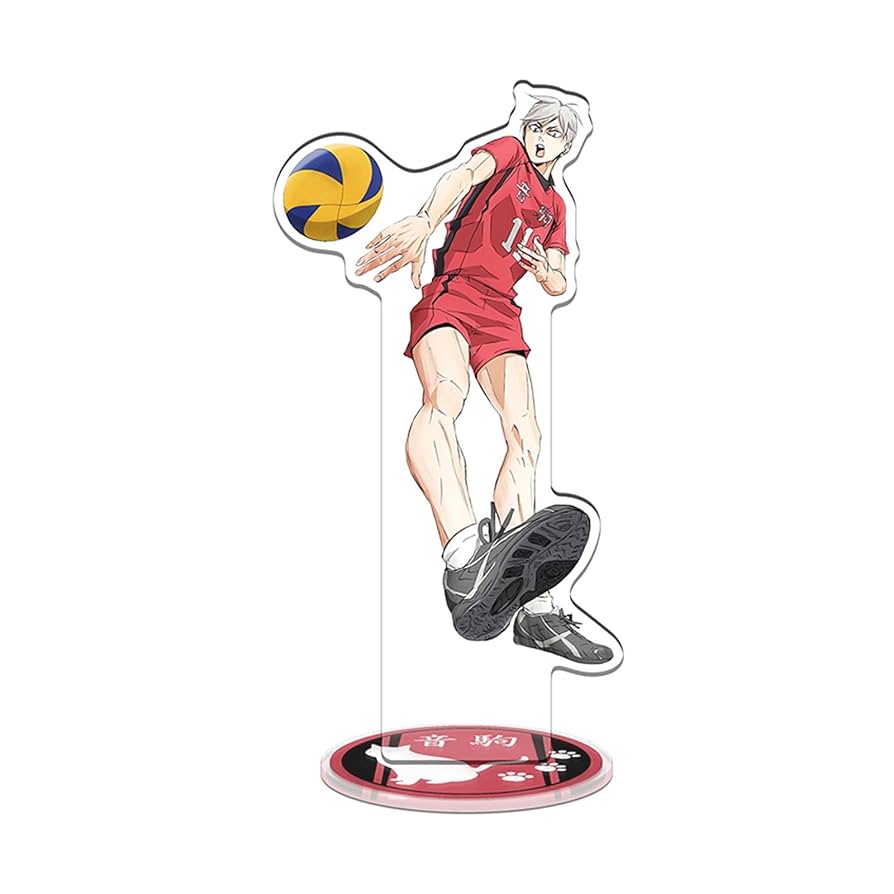 Amazon.co.jp: ハイキュー!! ゴミ捨て場の決戦 アクリルスタンド
